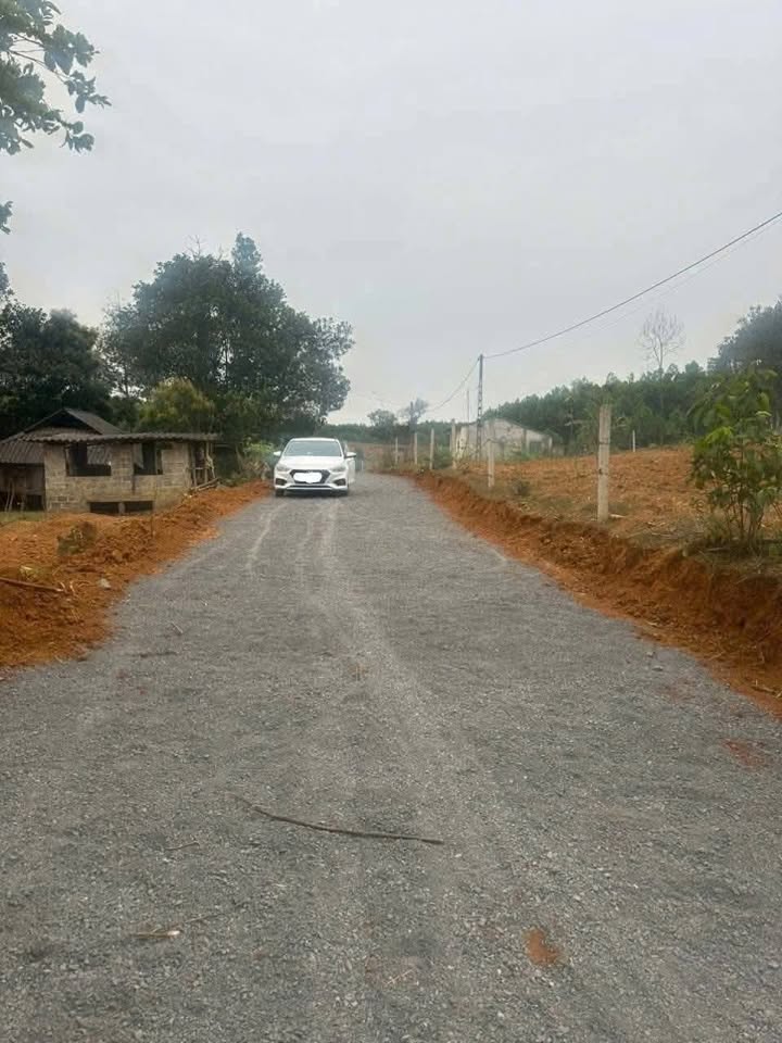 Đất thổ cư Vũ Bình, Lạc Sơn 291m² giá 290 triệu - Cơ hội đầu tư tuyệt vời!