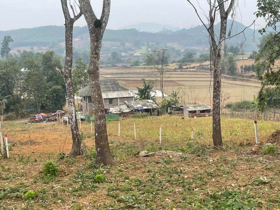 Đất thổ cư 600m² tại Mỹ Hòa, Tân Lạc, Hòa Bình giá chỉ 800 triệu - View đẹp, đất cao thoáng!