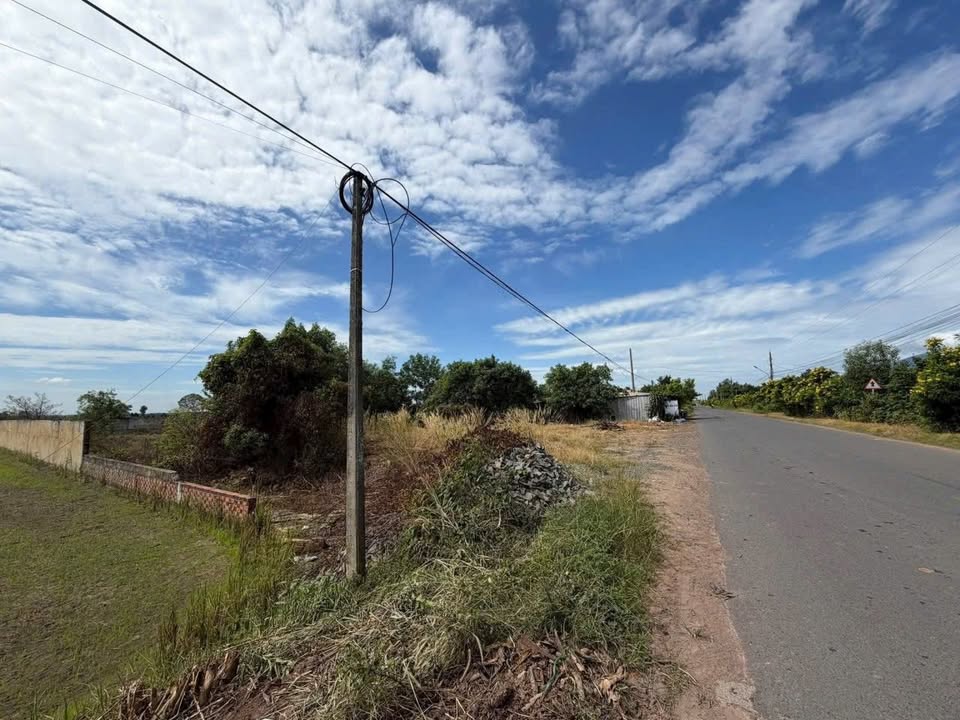 Đất mặt tiền đường Nhựa Phước Ninh - Phước Minh 2745m² giá 4.8 tỷ - Cơ hội đầu tư hấp dẫn!