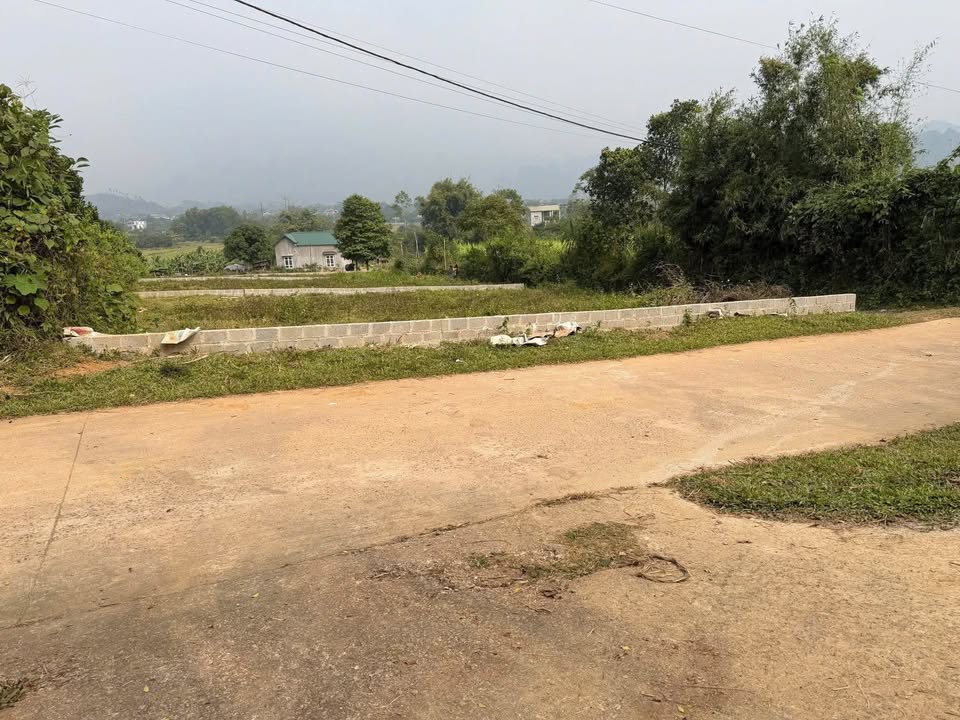 Đất nền Mãn Đức Tân Lạc 350m² chỉ 400 triệu - Cơ hội vàng cho nhà đầu tư!