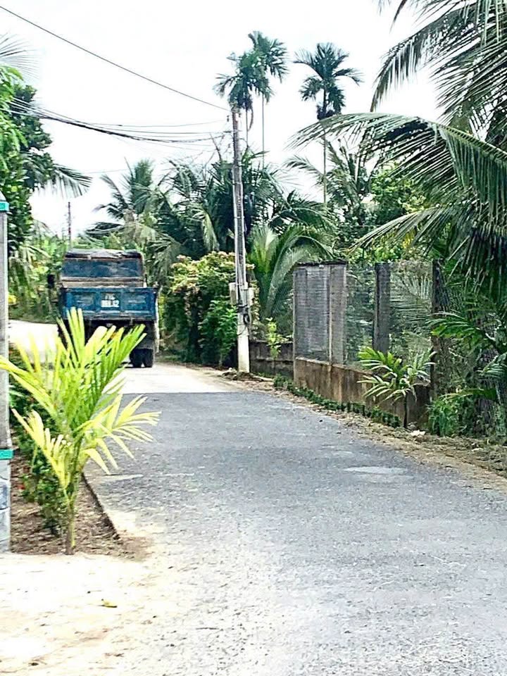 Biệt thự mini mặt tiền lộ nhựa Tam Phước 330m² giá 1.5 tỷ - Cơ hội đầu tư hấp dẫn!