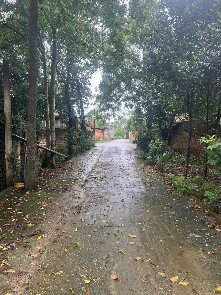 Đất thổ cư Bình Yên, Thạch Thất 69m² chỉ 1 tỷ - Cơ hội vàng đầu tư!