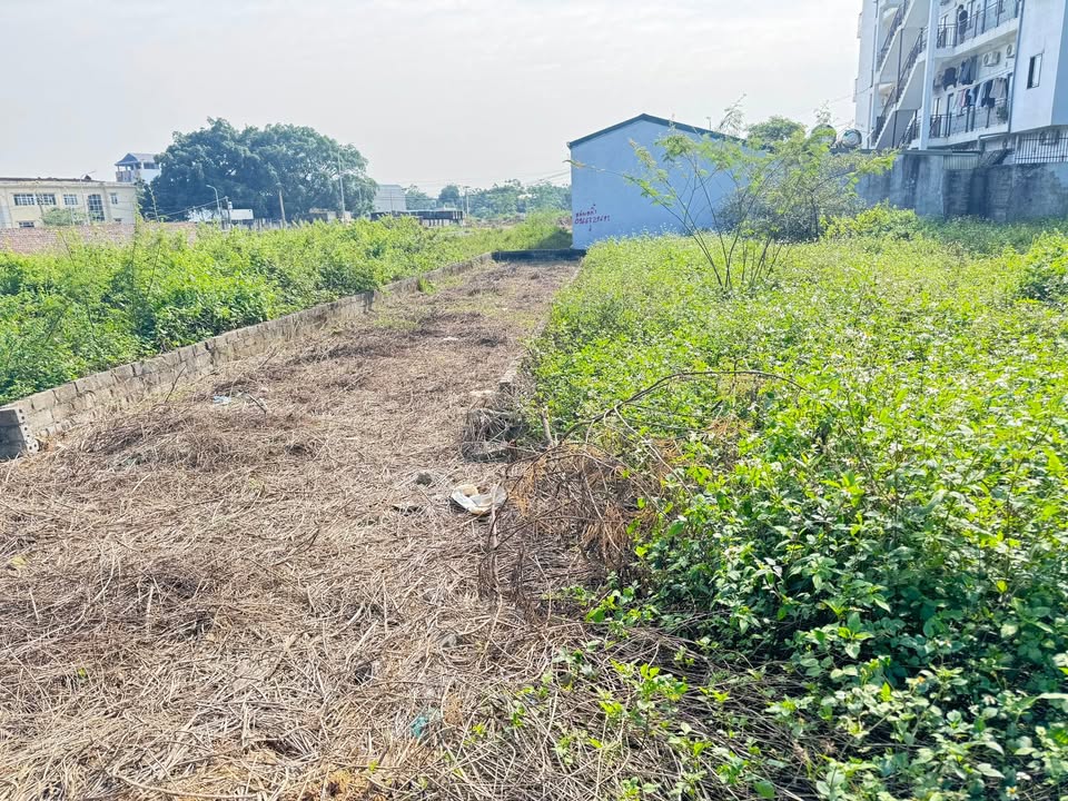 Đất nền 100m² TDC Bình Yên - Giá 6 tỷ - Cơ hội đầu tư vàng!