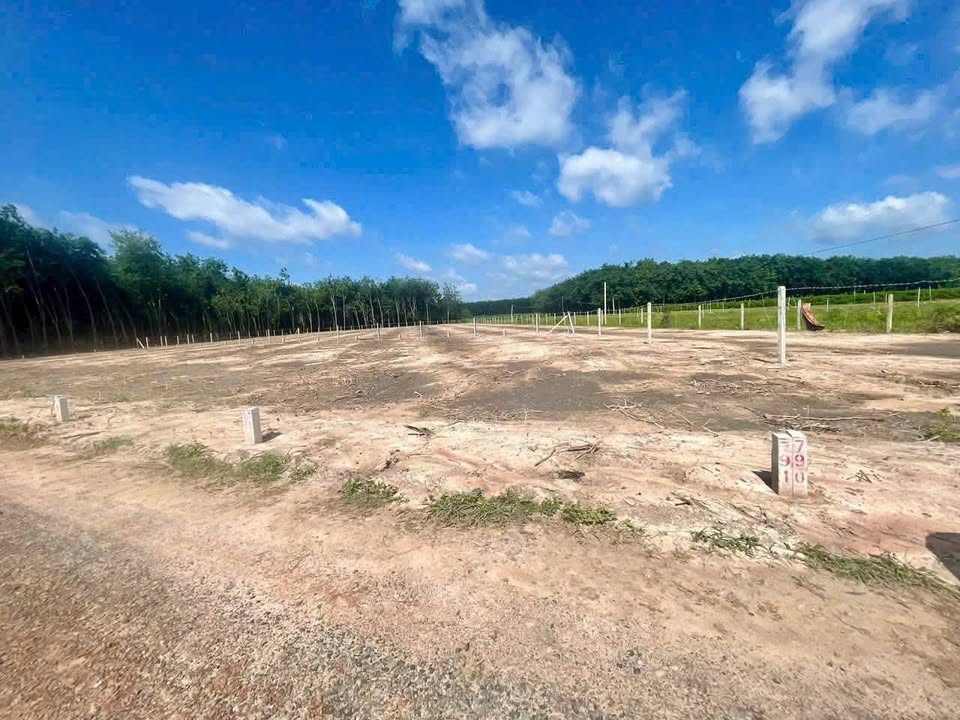 Đất nền Ninh Thạnh Tây Ninh 4600m² giá 2.3 tỷ - View núi tuyệt đẹp!