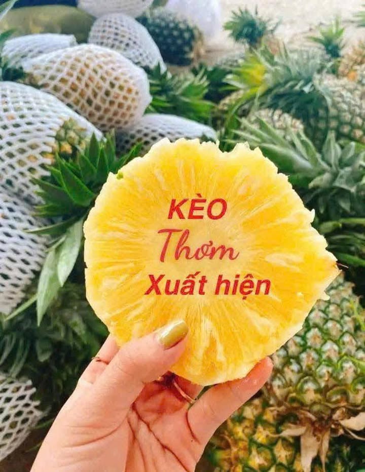 Đất nền Thái Mỹ Củ Chi 120m² giá 1 tỷ - Đầu tư sinh lời ngay!