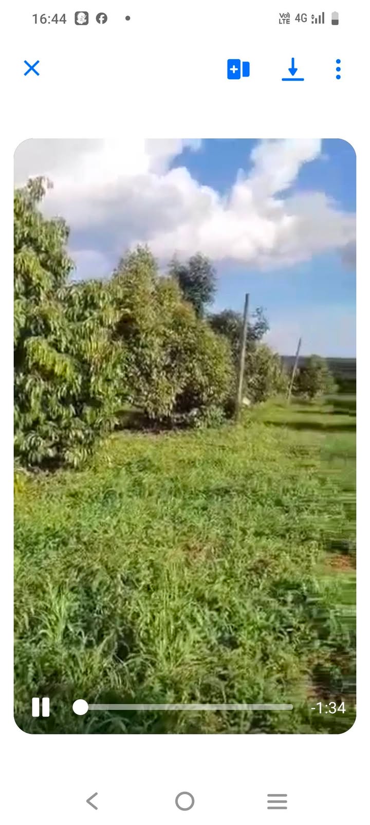 Đất nông nghiệp 3.5ha tại Đức Cơ, Gia Lai - Gần Quốc lộ 19, chỉ 4 tỷ!