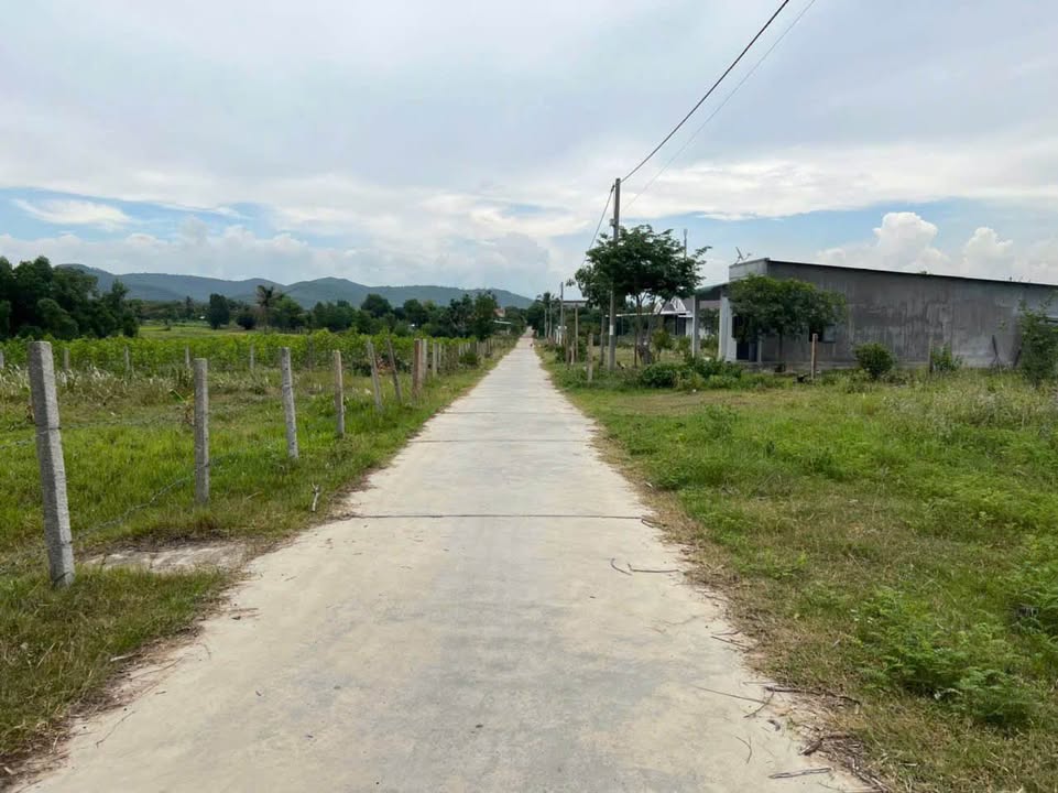 Đất nền Ninh Tân, Ninh Hòa 4.763m² giá 3,2 tỷ - Vị trí đẹp, dân cư đông đúc!