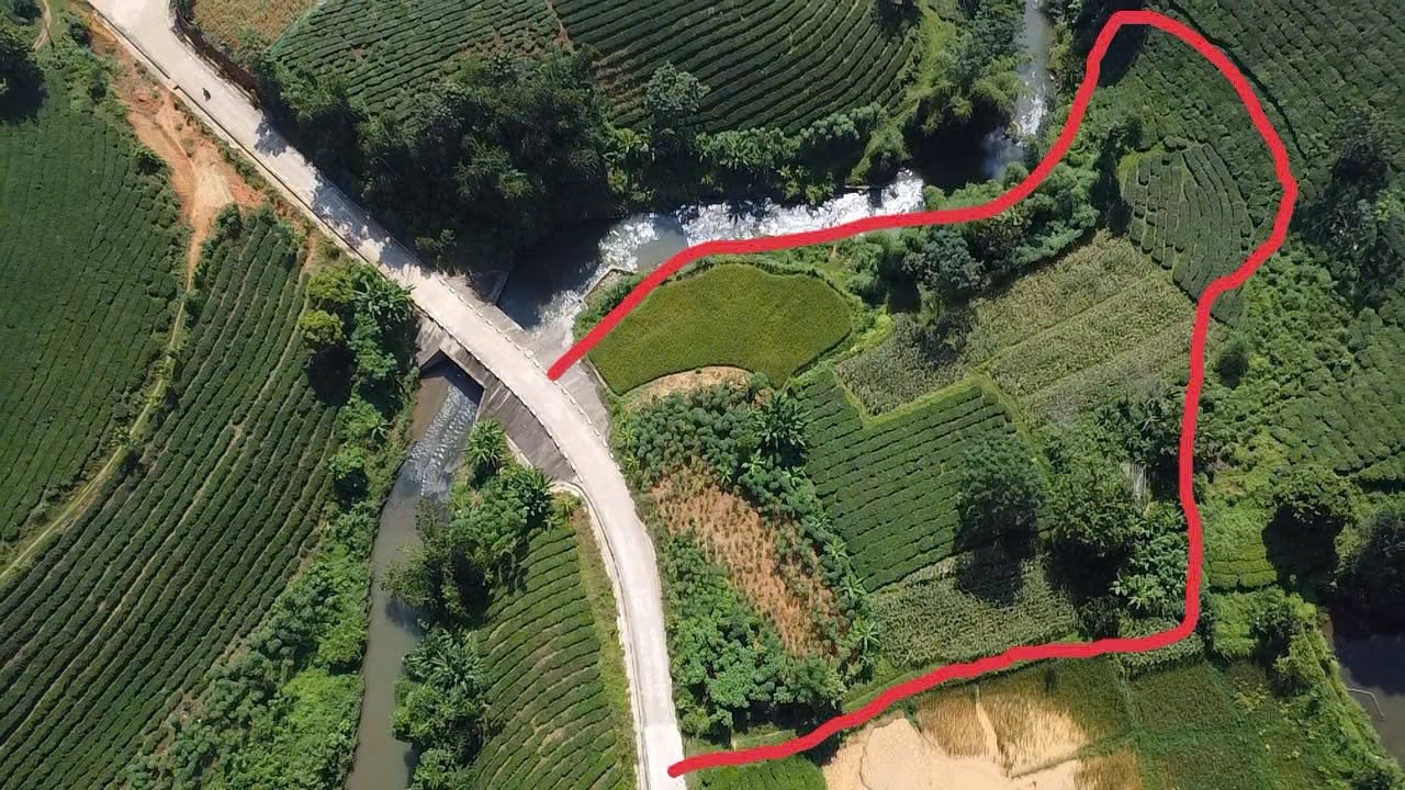 Đất Farm nghỉ dưỡng Tân Sơn 5200m² giá chỉ 2 tỷ - Tận hưởng không gian thiên nhiên tuyệt đẹp!