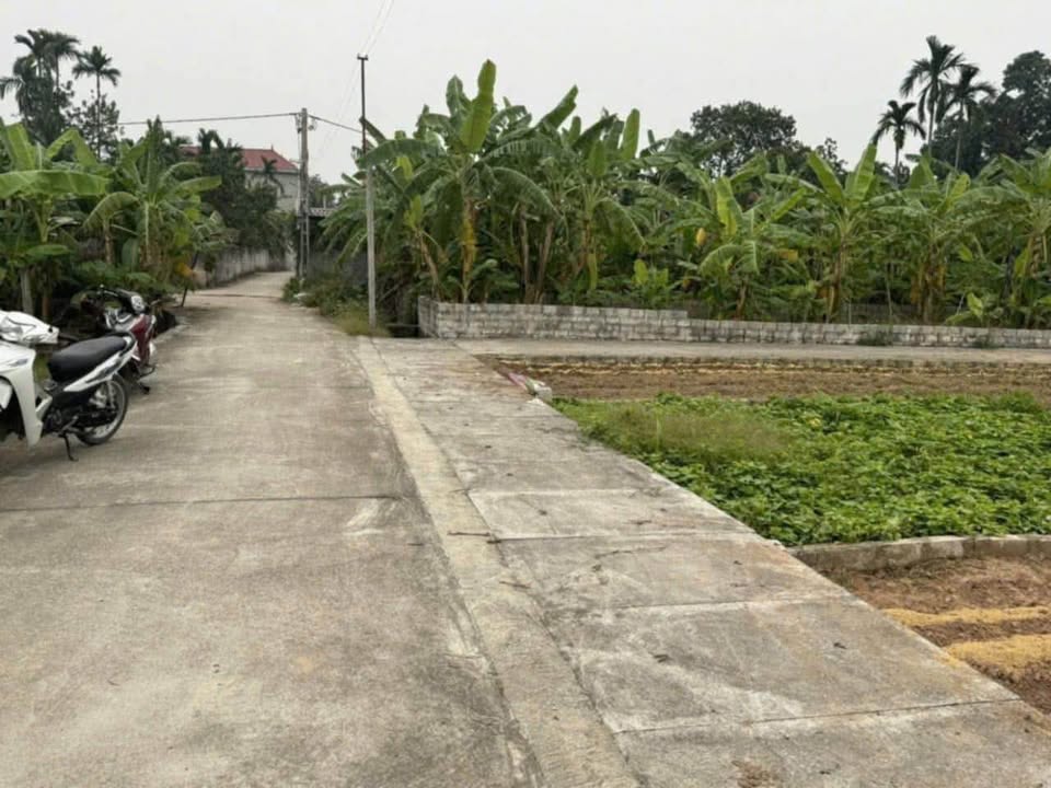 Đất nền Bột Xuyên, Mỹ Đức 60m² giá 950 triệu - Cơ hội đầu tư hấp dẫn!