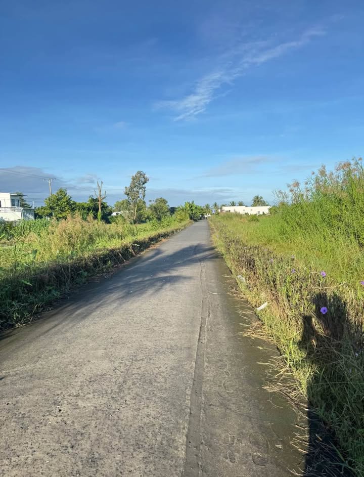 Đất thổ cư Lý Văn Lâm 250m² giá 1.3 tỷ - Mặt tiền kênh, thuận tiện di chuyển!