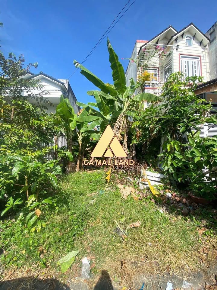 Đất nền Đỗ Thừa Tự Cà Mau 101,25m² giá 1,45 tỷ - Vị trí đắc địa gần Vincom!