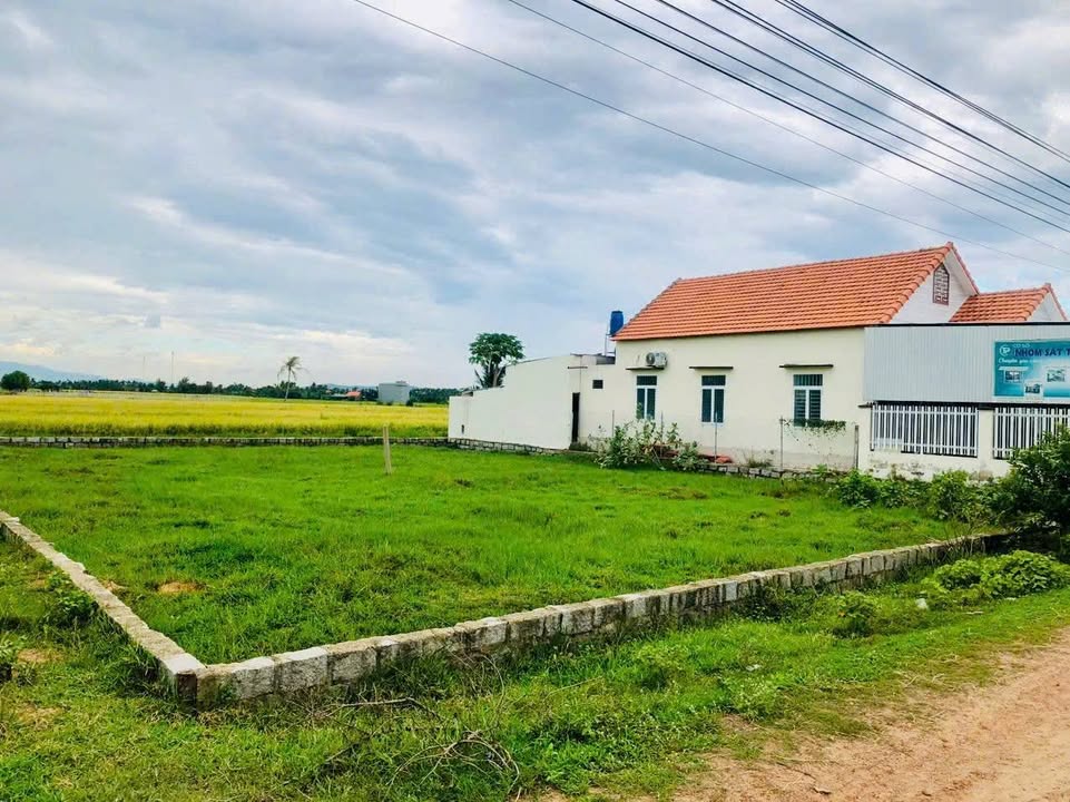 Đất thổ cư 278.5m² tại Thôn Vạn Hữu, Ninh Quang, giá chỉ 800 triệu - Cơ hội đầu tư tuyệt vời!