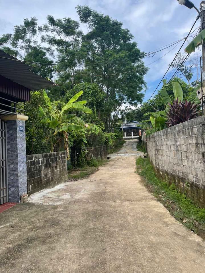 Lô đất Thịnh Đán 240m² giá 1,2 tỷ - Cơ hội đầu tư tuyệt vời!