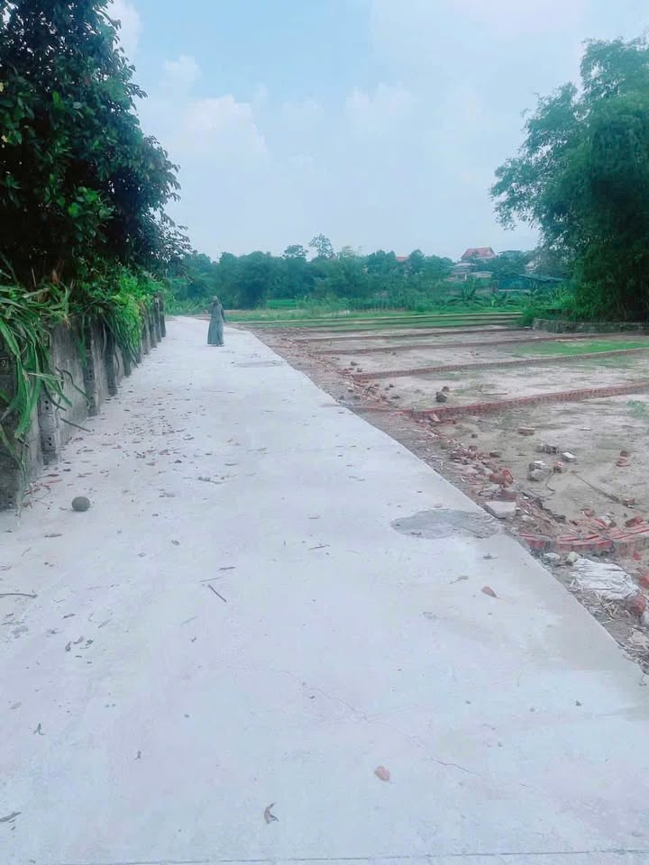 Lô đất 80m² tại Hương Sơn, Bình Xuyên chỉ từ 800 triệu - Đầu tư sinh lời ngay!