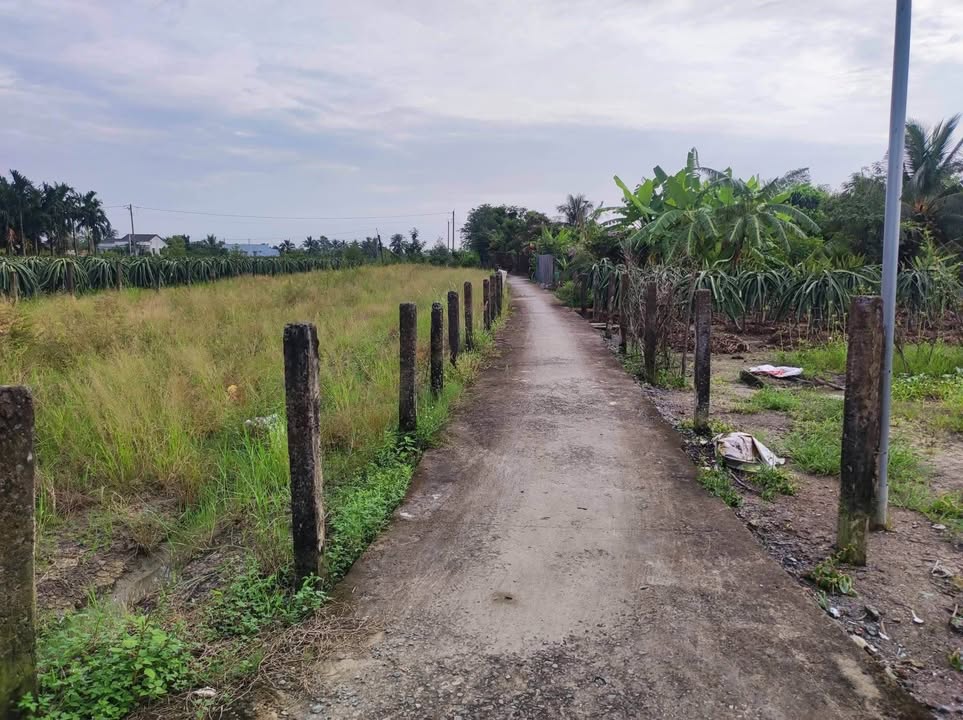 Đất lúa 1000m² giá 650 triệu - Sổ hồng riêng, pháp lý rõ ràng