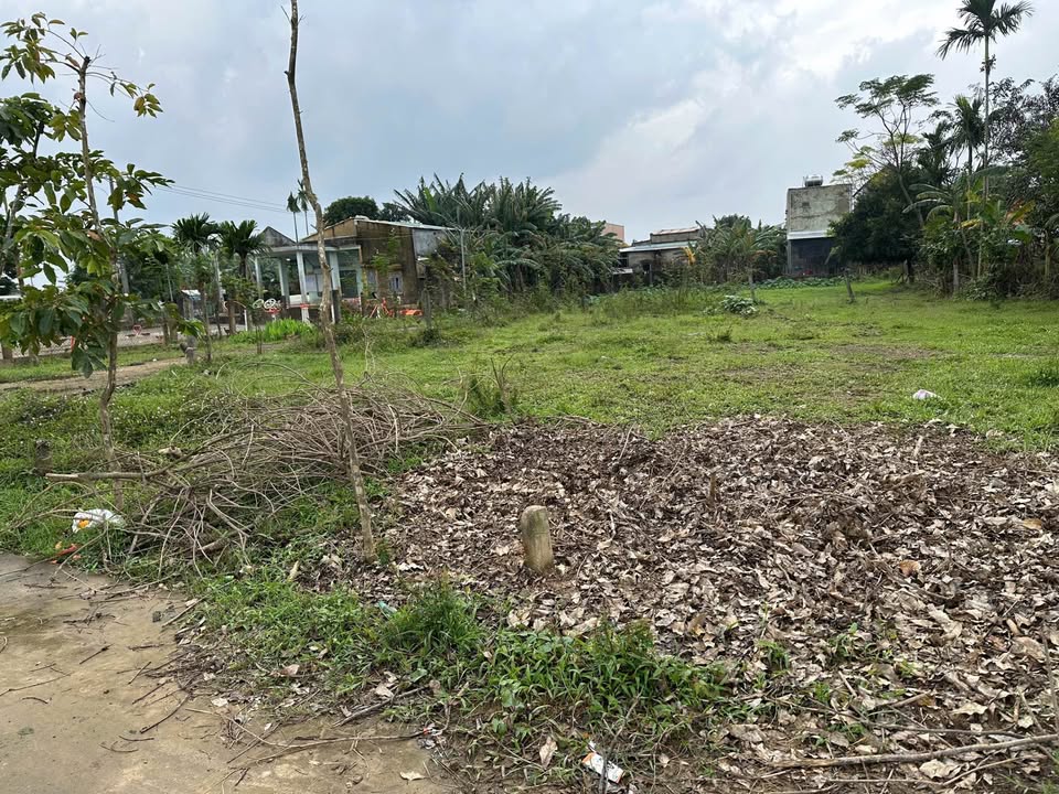 Đất thổ cư Điện Hồng 120m² giá 500 triệu - Vị trí đẹp, sẵn sàng đầu tư!