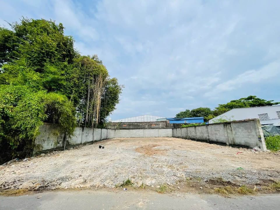 Đất thổ cư Tân Thông Hội, Củ Chi 277m² giá 4.5 tỷ - Pháp lý rõ ràng!