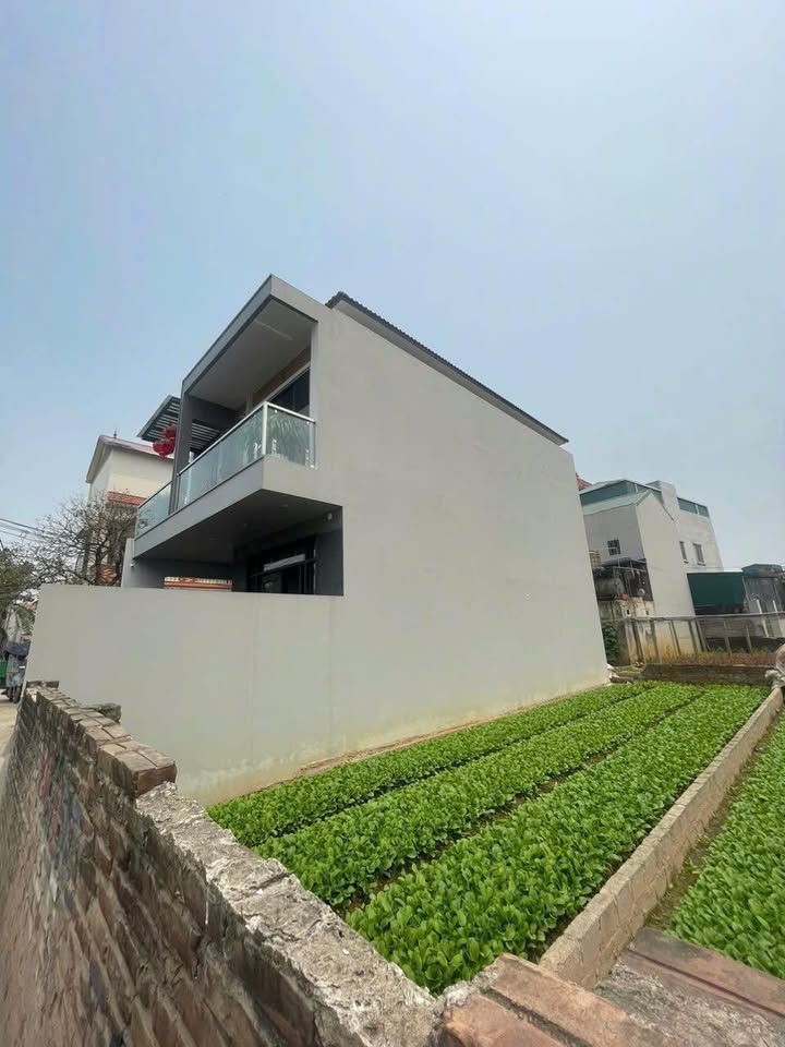 Đất nền Thư Phú, Thường Tín 68m² giá 3 tỷ - Siêu giảm giá cần bán gấp!