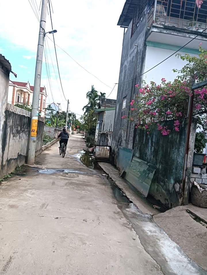 Đất nền Tự Nhiên, Thường Tín 40.8m² giá 2.28 tỷ - Sổ đỏ chính chủ, ô tô đỗ cửa!