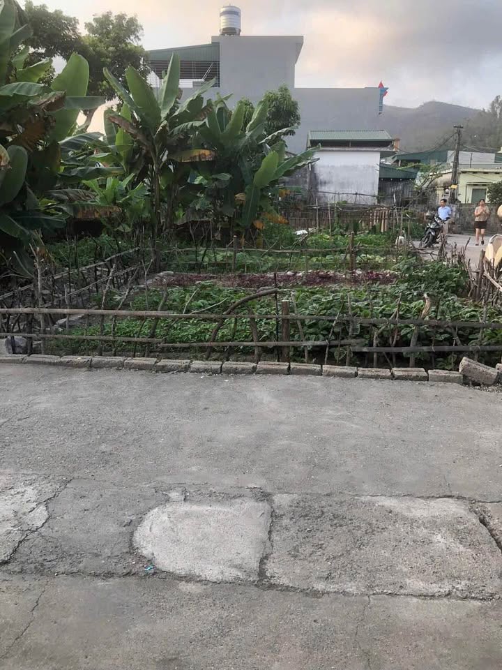 Đất Cẩm Thịnh gần biển 68m² giá 700 triệu - Lô góc hai mặt tiền