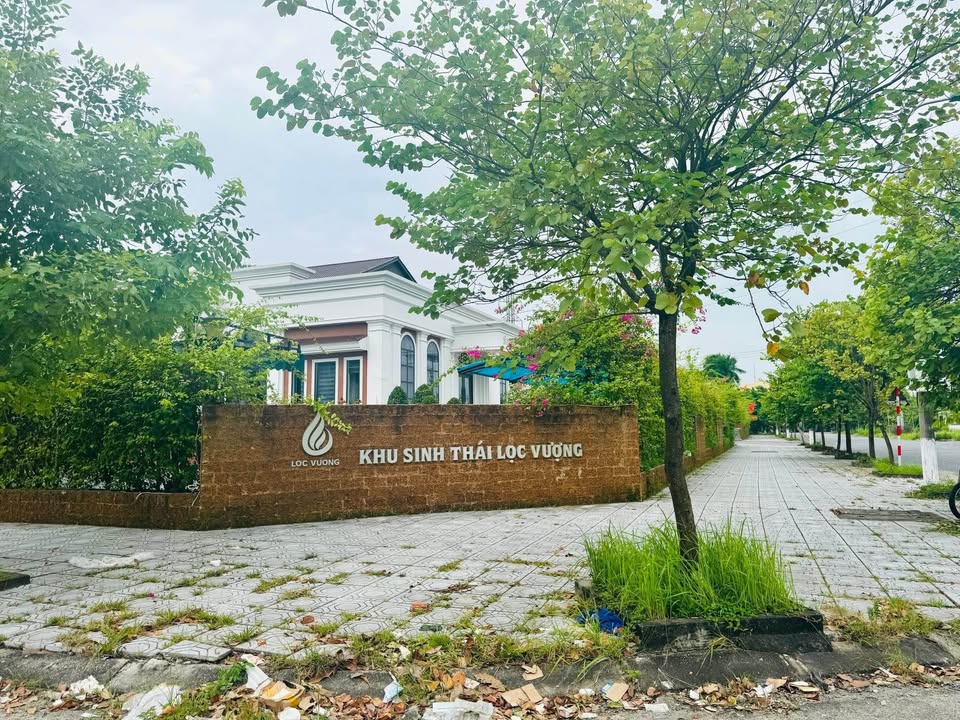 Đất nền mặt đường Trần Duệ Tông, Nam Định 124m² giá 3.1 tỷ - Cơ hội đầu tư tuyệt vời!