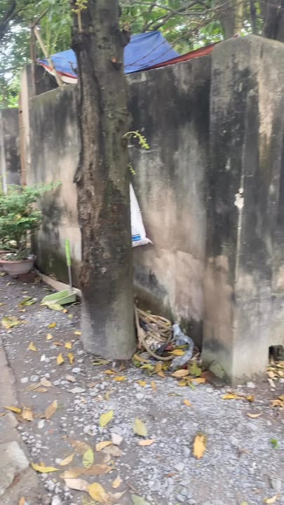 Đất nền Vĩnh Lộc A 1200m² giá 11 tỷ - Vị trí đẹp, thuận tiện kinh doanh!