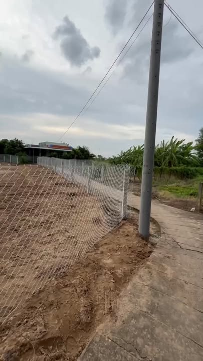 Đất Lúa 1336m² tại Ấp Kế Mỹ, Cần Giuộc - Sổ Hồng Riêng, Giá 1.1 tỷ!