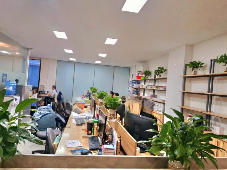 Cho thuê văn phòng đường Trần Hưng Đạo, Sơn Trà, Đà Nẵng 150m² - Văn phòng chuyên nghiệp giá tốt!