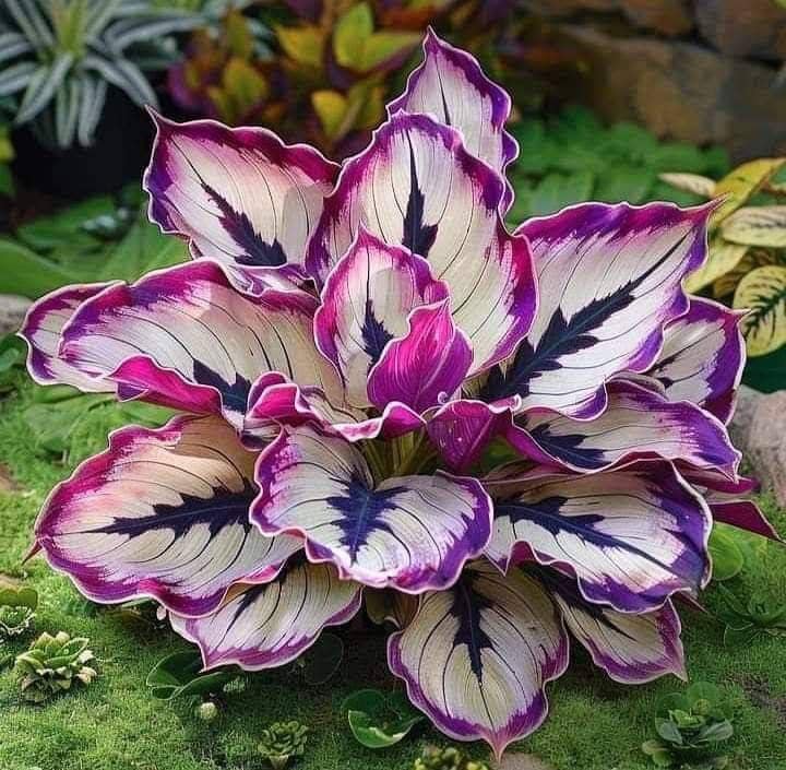 Nhà đẹp Mỹ An Đà Nẵng 90m² giá 8 tỷ - Ngắm pháo hoa tuyệt đẹp!