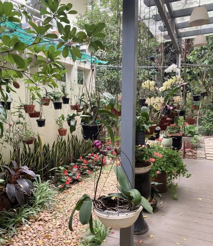 Bán gấp Townhouse BT Ecopark Hưng Yên 190m² giá 32.5 tỷ - Tiện ích đầy đủ, sống xanh lý tưởng!