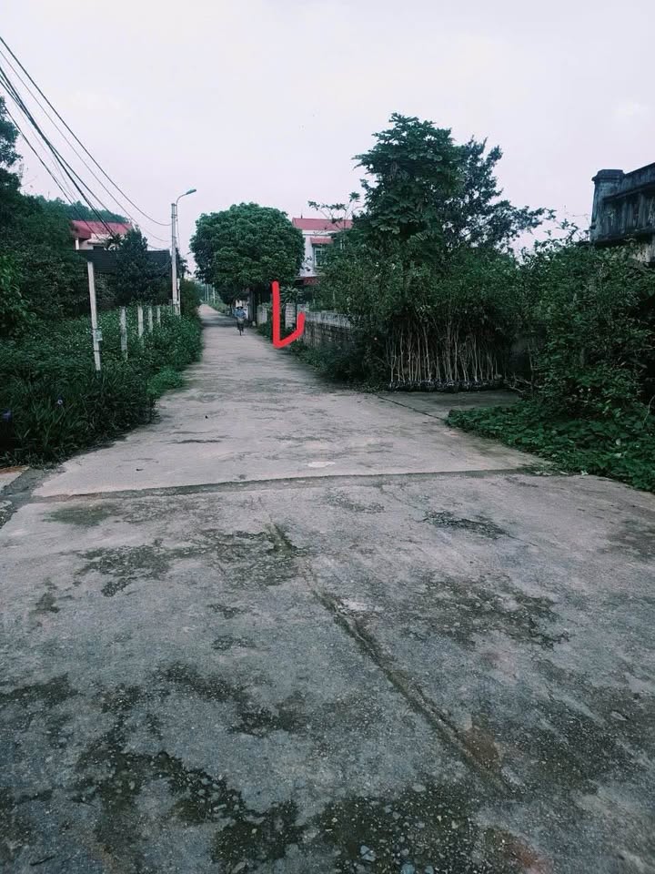 Đất nền 87m² tại Tùng Thiện, Sơn Tây giá 2 tỷ - Sổ hồng chính chủ, ô tô vào tận đất!