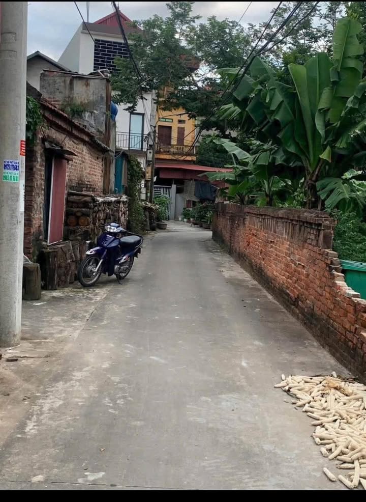 Đất ở đô thị khu phố Đức Hiệp, Xuân Lâm, Thuận Thành, Bắc Ninh 73m² - Mặt tiền 4m, giá chỉ từ 3x triệu/m²!