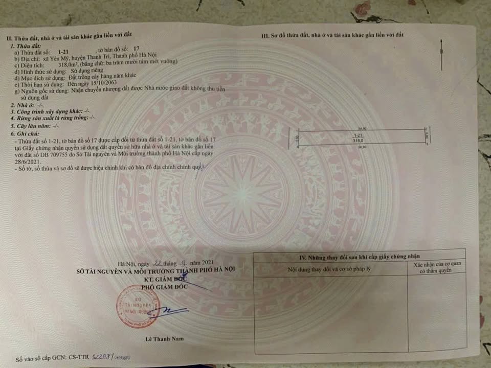 Đất vườn 318m² tại Làng Yên Mỹ, Thanh Trì - Giá chỉ 922 triệu, đầu tư sinh lời cao!