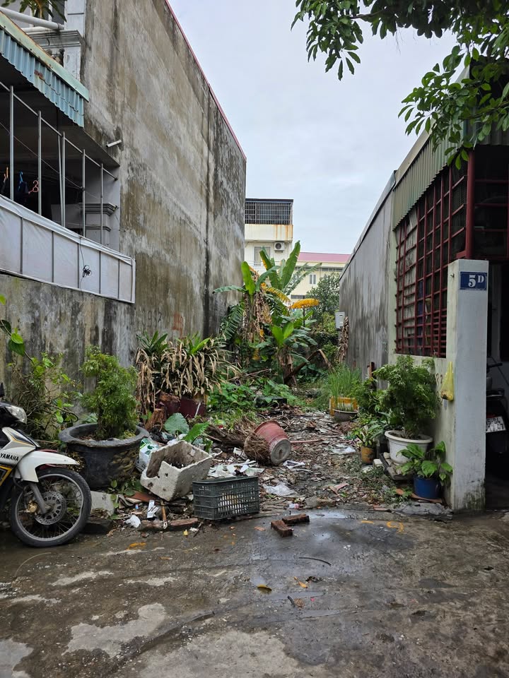 Đất nền 100m² tại phường Hùng Vương - Giá chỉ 1.45 tỷ, đầy đủ tiện ích!