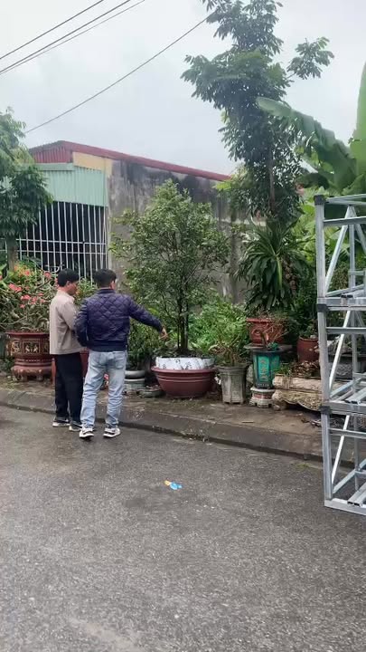 Đất nền Tân Hợp, Dương Kinh 100m² giá 2.6 tỷ - Đường 10m, vị trí đẹp!