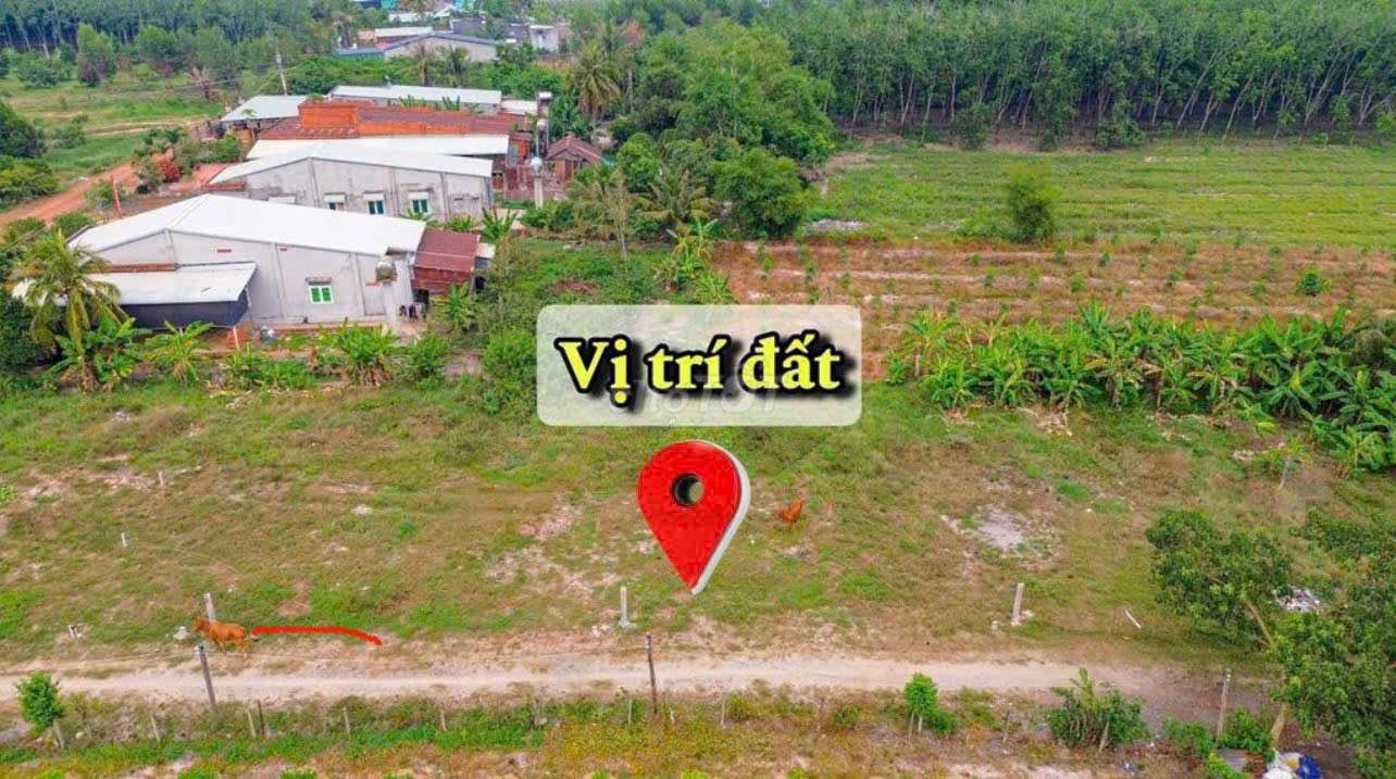 Đất nền Gò Dầu Tây Ninh 110m² giá chỉ 3xx triệu - Đầu tư sinh lời nhanh!