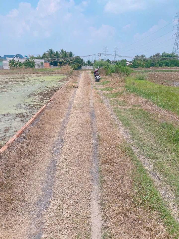 Đất thổ cư Ấp Bình Lợi, Đức Hòa 290m² giá 1.4 tỷ - Vị trí đẹp, cơ hội đầu tư sinh lời!