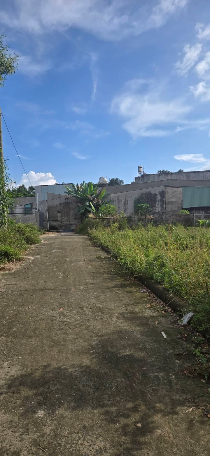 Đất nền Tam Phước, Biên Hòa 137.5m² giá 370 triệu - Cơ hội đầu tư tuyệt vời!