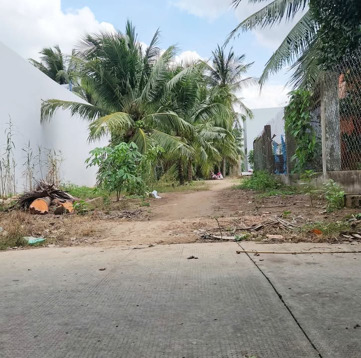 Đất nền Phú Nhuận Bến Tre 49,3m² giá 490 triệu - Đầu tư sinh lời ngay!