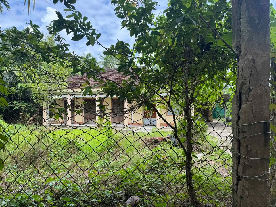 Đất nền 3000m² tại xã Mỹ Thạnh An, Bến Tre - Giá chỉ 1.5 tỷ, cơ hội đầu tư tuyệt vời!