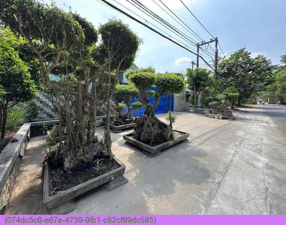 Bán xưởng mặt tiền đường Thanh Niên, Bình Chánh 2838m² giá 59.5 tỷ - Đầu tư sinh lợi ngay!