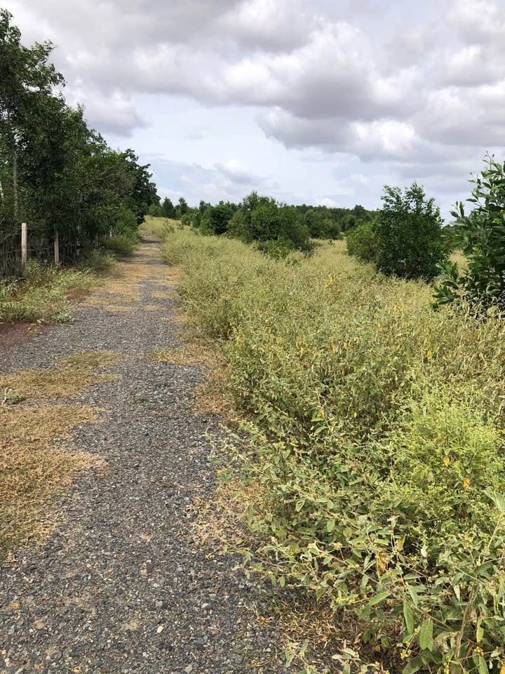 Đất sào Thiện Nghiệp Phan Thiết 2187m² giá 1.4 tỷ - Sổ đỏ chính chủ, bớt lộc!