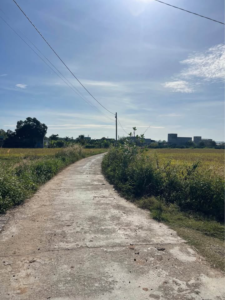 Đất thổ cư Ninh Thuận, Hàm Liêm 765m² giá 320 triệu - Cơ hội đầu tư hấp dẫn!