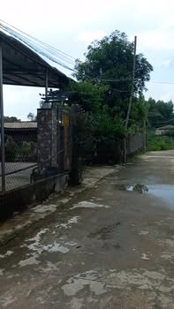 Đất nền Bình Hiệp 192m² giá 700 triệu - Đường ô tô rộng rãi, vị trí đẹp!