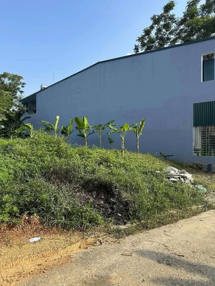 Bán đất Nông Tiến Tuyên Quang 90m² giá 800 triệu - Đường bê tông rộng, thổ cư sẵn