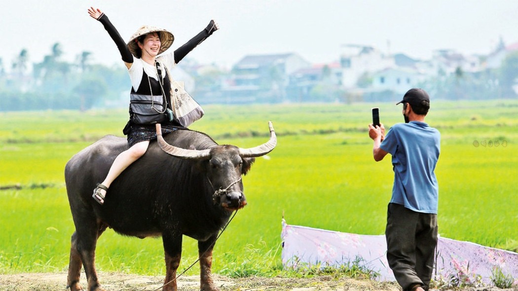 Lô đất Cẩm Châu Hội An 82m² giá 2 tỷ - Đầu tư sinh lời ngay!