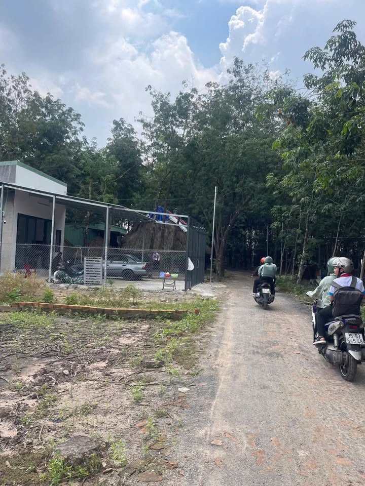 Đất Hòa Lợi Bến Cát 204m² chỉ 1 tỷ - Vị trí đắc địa cho đầu tư