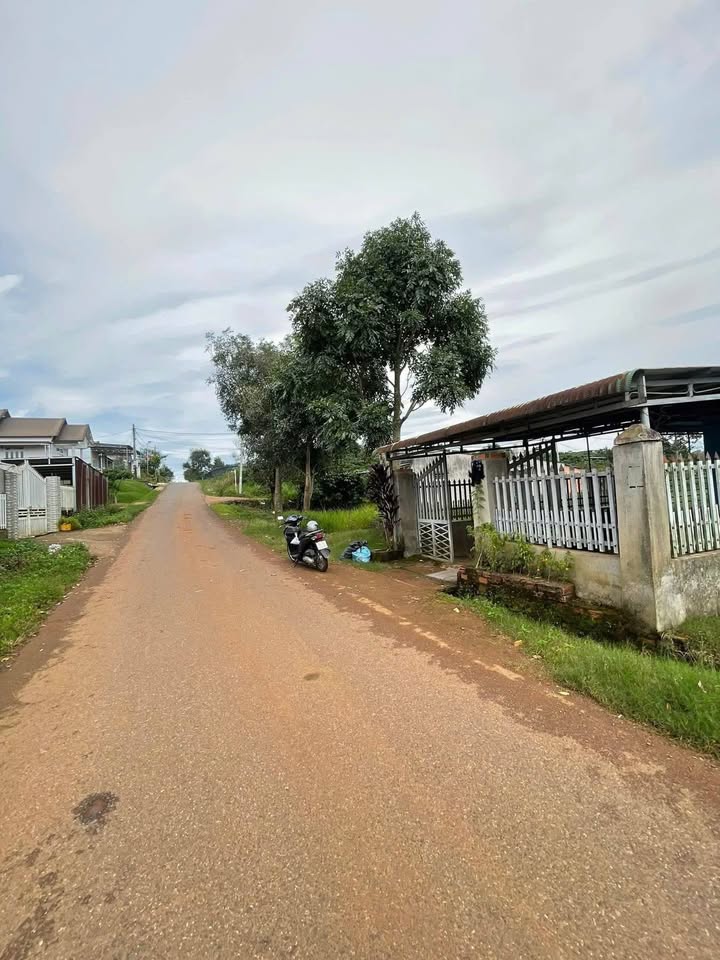 Nhà cấp 4 Lộc Phát, Bảo Lộc 420m² giá chỉ 2.1 tỷ - Cơ hội đầu tư hấp dẫn!