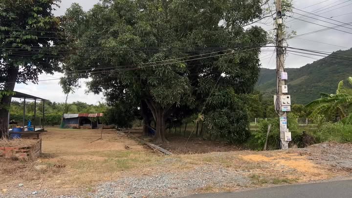 Đất thổ cư Cam Phước Đông 252m² giá 750 triệu - Sổ hồng chính chủ, thương lượng