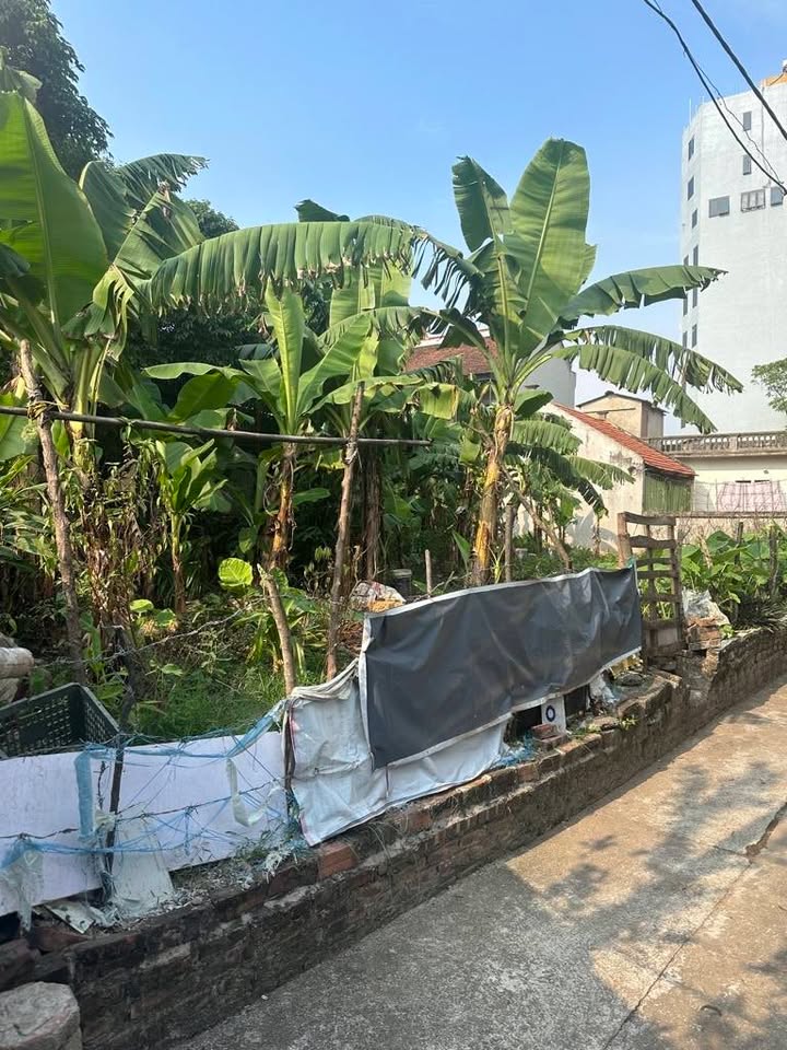 Đất nền Ngọc Hồi, Thanh Trì 191m² giá 16 tỷ - Mặt tiền rộng, đầu tư sinh lời!